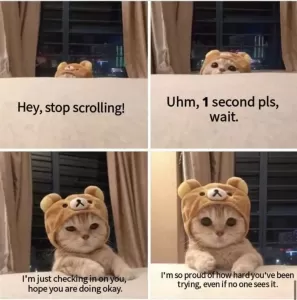 1735674643268.png