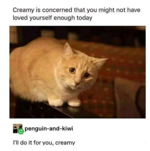 1736932064388.png