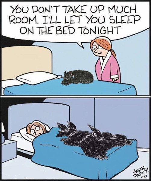 1753529497172.png