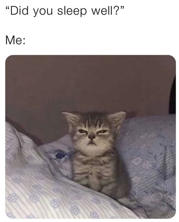 1754755910331.png
