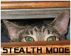 kittystealthmode258598.png