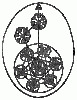 img1156-1.gif