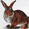 tigerbunny.jpg