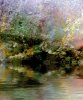 River-bank.jpg