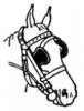 horsie.jpg