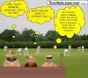 Cricket Pitch I.jpg
