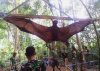 megabat.jpg