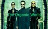 matrix_philosophy~3.jpeg