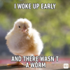 1750945194377.png