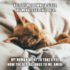 1759289180375.png