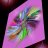 bluesunflower