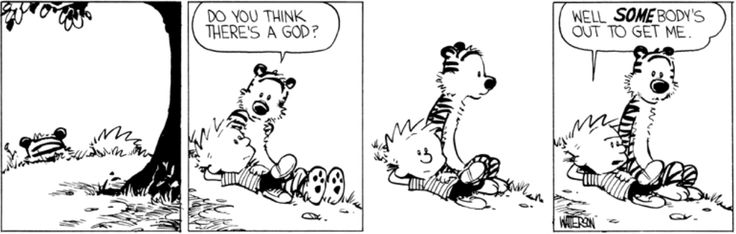 8b1c3dfc9c0bfd5760183a9b70dfed76--calvin-and-hobbes-quotes-calvin-and-hobbes-comics.jpg