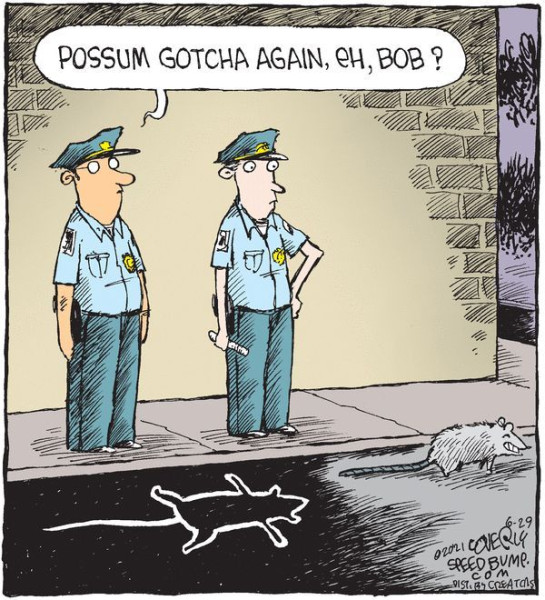 1769910512070.png