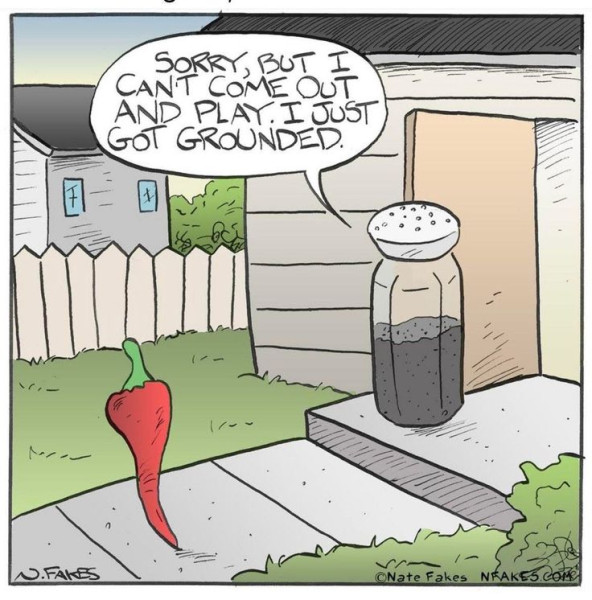 1777062604921.png