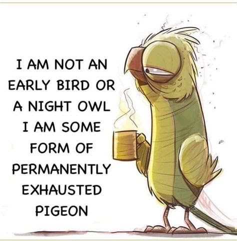 1779963486371.png