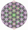 fol_1.jpg