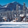 canadian mount2.jpg