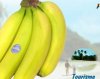 banana.jpg