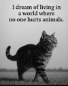 1760634202657.png