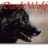 Darkwolf