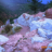 CliffDweller